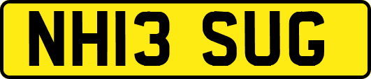 NH13SUG