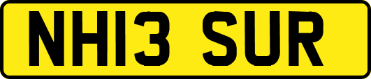 NH13SUR