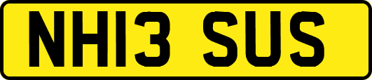 NH13SUS