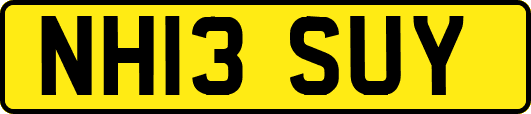 NH13SUY