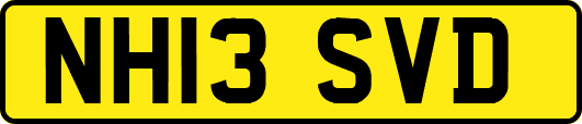 NH13SVD