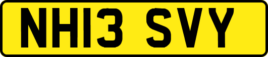 NH13SVY