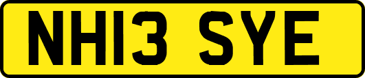 NH13SYE