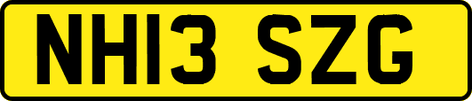 NH13SZG
