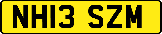 NH13SZM