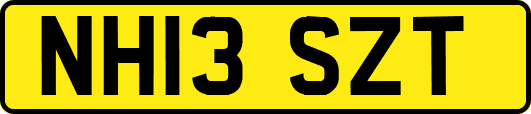 NH13SZT