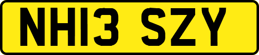 NH13SZY