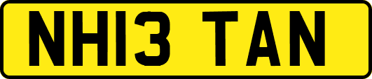 NH13TAN