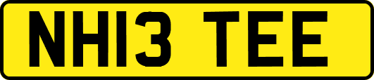 NH13TEE