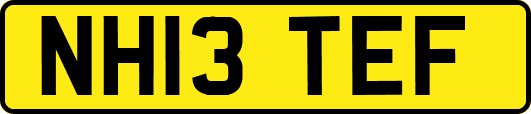 NH13TEF