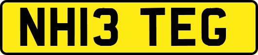 NH13TEG