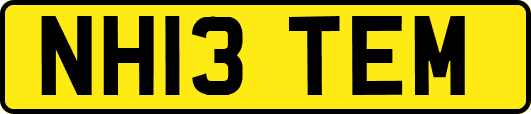 NH13TEM