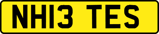 NH13TES