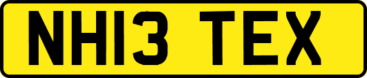 NH13TEX