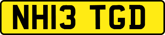 NH13TGD