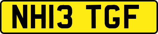 NH13TGF