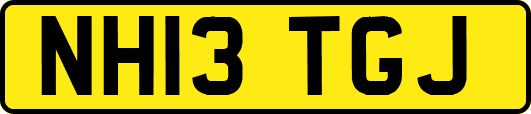 NH13TGJ