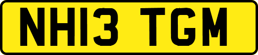 NH13TGM