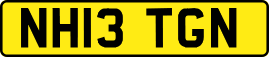 NH13TGN