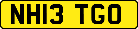 NH13TGO