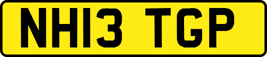 NH13TGP
