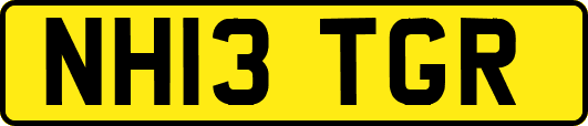NH13TGR