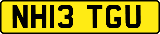 NH13TGU