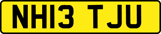 NH13TJU
