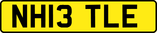 NH13TLE