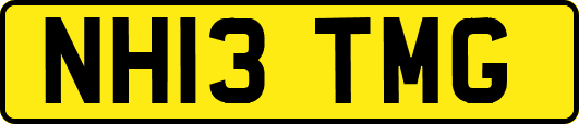 NH13TMG