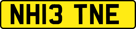 NH13TNE
