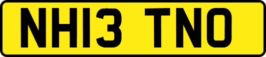 NH13TNO