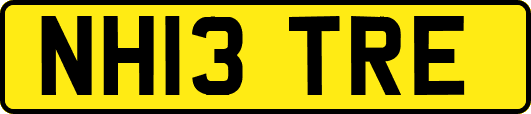 NH13TRE