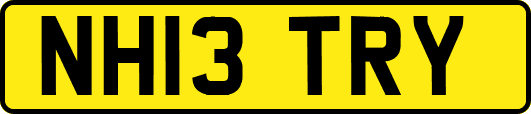 NH13TRY