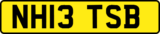 NH13TSB