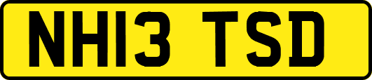 NH13TSD