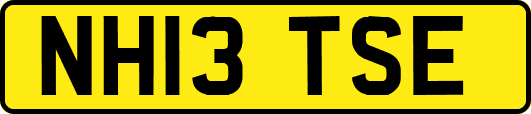 NH13TSE