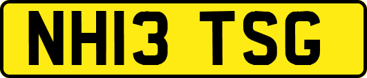NH13TSG