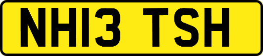 NH13TSH