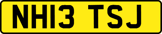 NH13TSJ