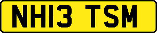NH13TSM