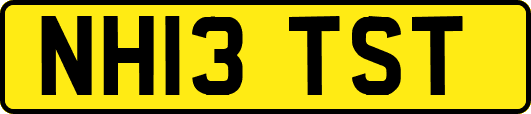 NH13TST