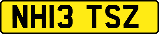 NH13TSZ