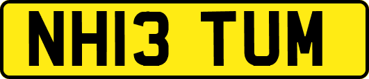 NH13TUM