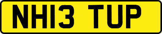 NH13TUP