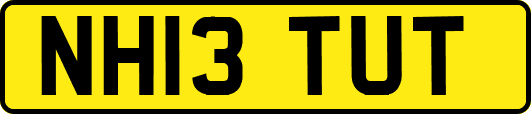 NH13TUT