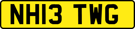 NH13TWG