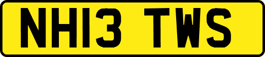 NH13TWS