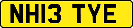 NH13TYE