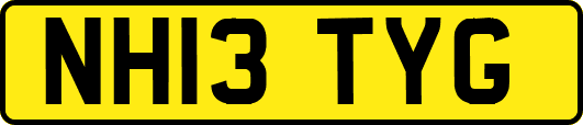 NH13TYG